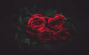 4k Bouquet Of Roses Wallpaper