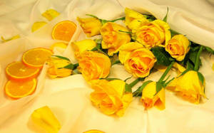 4k Bundle Of Yellow Roses Wallpaper