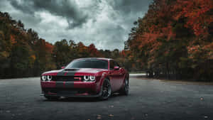 4k Dodge Hellcat At Forest Car Park Wallpaper