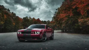 4k Dodge Hellcat At Forest Car Park Wallpaper