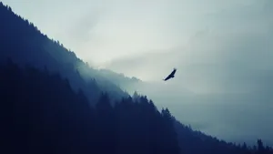 4k Eagle In Mountains Wallpaper