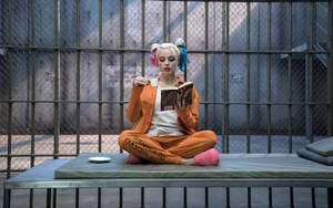 4k Harley Quinn Reading Book Wallpaper