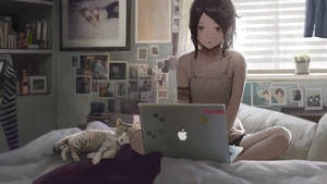 4k Laptop Anime Girl And Cat Wallpaper