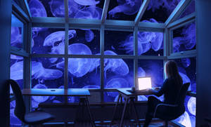 4k Laptop Jellyfish Window Wallpaper
