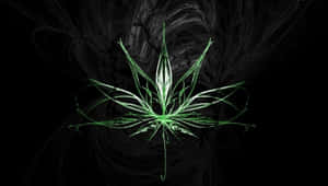 4k Marijuana In Focus Wallpaper