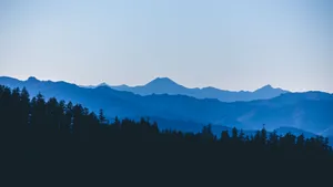 4k Minimal Blue Mountain Ranges Trees Silhoutte Wallpaper