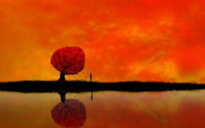 4k Nature Red Tree Wallpaper