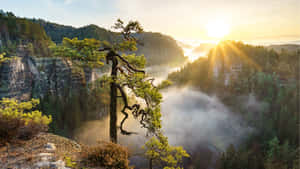 4k Sunrise In Nature Wallpaper