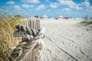 4k Ultra Hd Beach Wooden Post Wallpaper