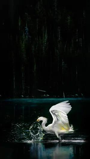 4k Ultra Hd Vivid Landscape Wallpaper