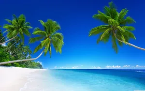 5k Hd Tropical Beach Wallpaper