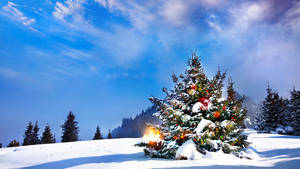 8k Christmas Tree Outdoors Wallpaper