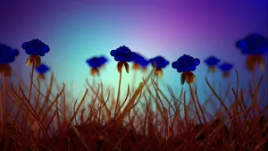 A Beautiful Field Of Wildflowers In Full Bloom Wallpaper