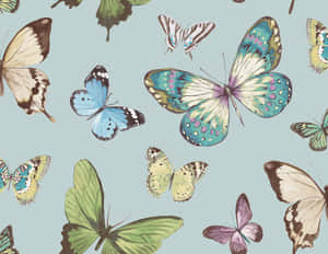 A Beautiful Green Butterfly Perched Atop A Flower Wallpaper