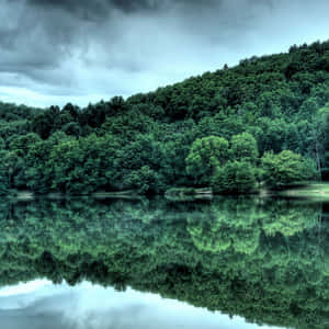 A Beautiful Lake Surrounded By Lush, Green Trees Wallpaper