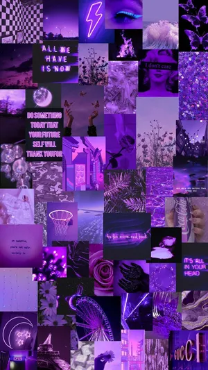 A Beautiful Purple Collage Of Patterns Created Uniquely For Your Viewing Pleasure Wallpaper