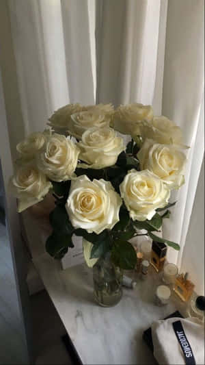 'a Beautiful White Rose, A Symbol Of Purity And Innocence.' Wallpaper