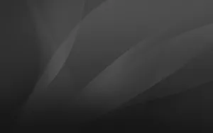 A Black And White Abstract Background With Wavy Lines Wallpaper