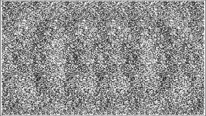 A Black And White Drawing Of A Flower Wallpaper