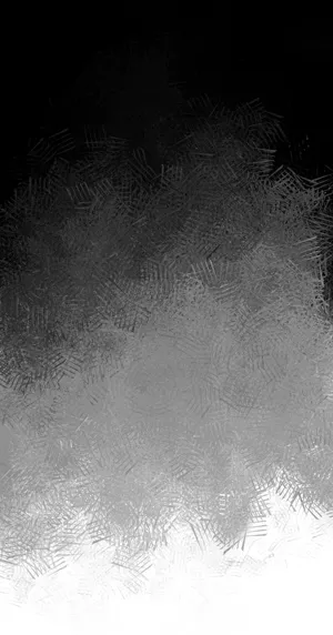 A Black And White Image Of A Skier Wallpaper