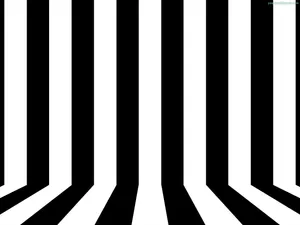 A Black And White Striped Background With A Black And White Striped Wall Wallpaper