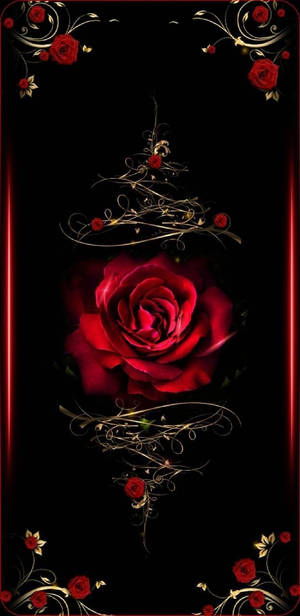 A Black Background With A Red Rose Wallpaper
