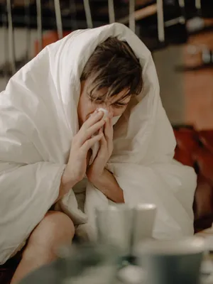 A Blanket And A Sneeze Wallpaper