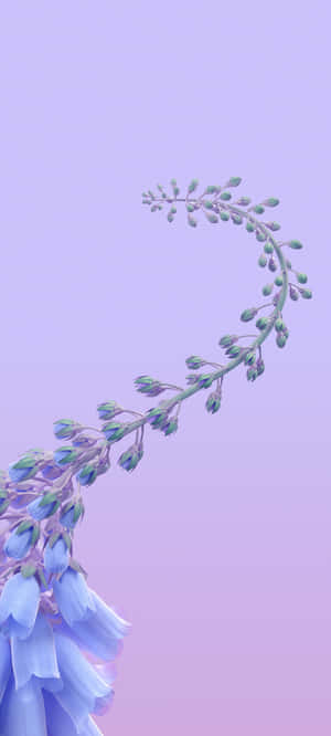 A Blue Flower With Purple Leaves In The Background Wallpaper