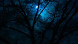 A Blue Moon Is Seen Through A Tree Wallpaper
