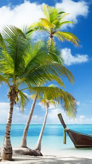 A Boat On The Beach Wallpaper