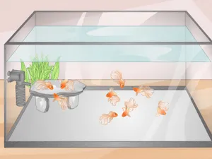 A Bright And Vibrant Aquarium Fish Tank Wallpaper