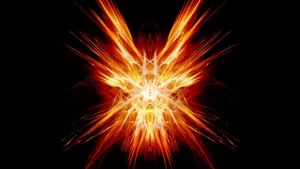 A Bright And Vibrant Orange Wallpaper