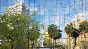 A Building With Palm Trees Reflected In The Glass Wallpaper