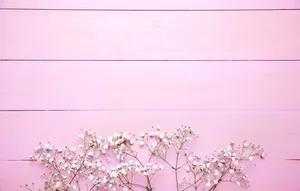 A Burst Of Pink Brings Life To Your Backyard! Wallpaper