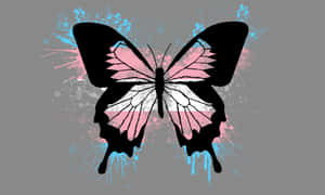 A Butterfly In Trans Color Wallpaper