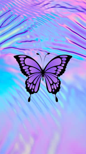 A Butterfly Is Silhouetted Against Its Cool And Colourful Wings Wallpaper