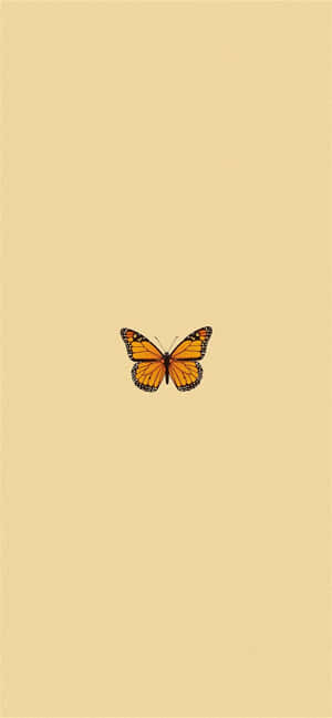 A Butterfly Is Sitting On A Beige Background Wallpaper