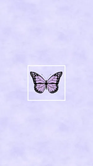 A Butterfly On A Purple Background Wallpaper