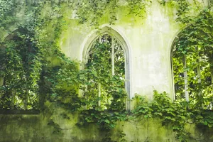 A Centuries-old House Enveloped In Lush Green Vines Wallpaper