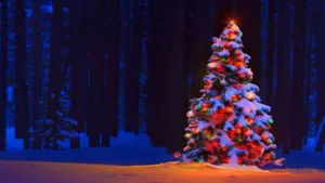 A Christmas Tree In The Snow With Lights On It Wallpaper