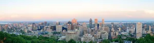 A Cityscape With Tall Buildings And Trees Wallpaper