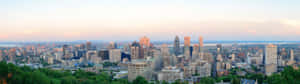 A Cityscape With Tall Buildings And Trees Wallpaper