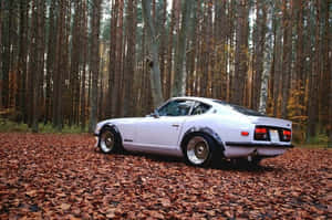 A Classic Datsun Car On The Road Wallpaper