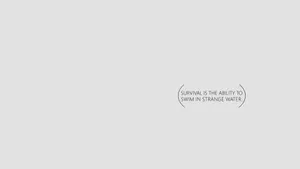 A Clean And Simple Look For Your Computer Aesthetic Wallpaper