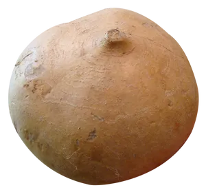 A Close-up Shot Of The Nutritious Organic Jicama Wallpaper