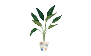 A Closeup Of A Green Botanical Plant Wallpaper