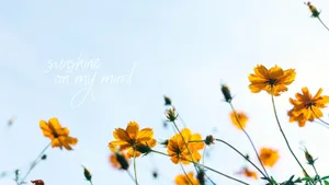 A Colorful And Bright Spring Aesthetic Desktop Wallpaper