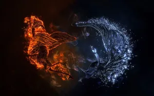 A Contrasting Combination: Fire And Water Wallpaper