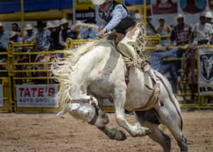 A Cowboy Attempting A Bronco Ride In A Rodeo Competition. Wallpaper