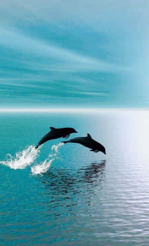 A Cute Raccoon Curious About Its New Surroundings Wallpaper